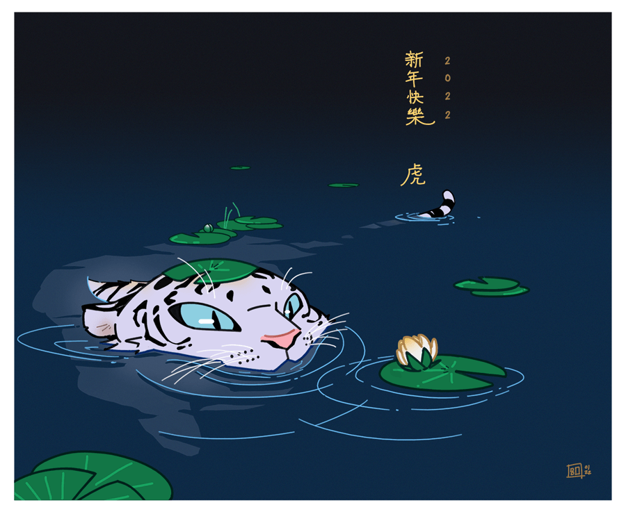 Chinese year of the water tiger